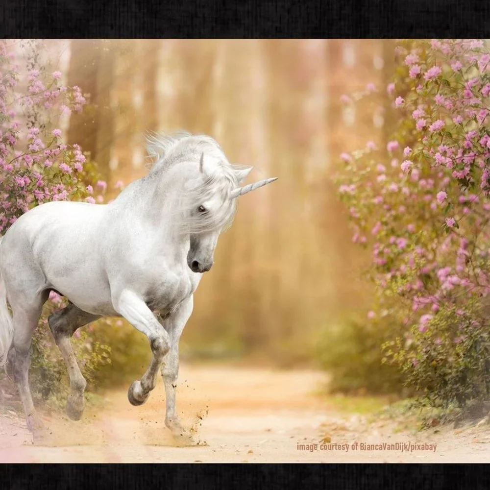 Unicorn Calendar 2025 Unipeg Wall Calendar Unicorn Pictures Planner Organizer